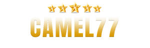 Camel77